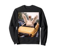Funny Goose Roller Coaster Meme Silly Graphic Sudadera