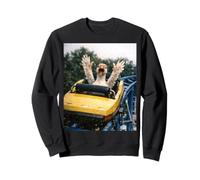 Funny Goose Roller Coaster Meme Silly Graphic Sudadera