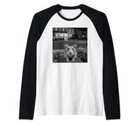 Funny Hamster Sticks out Tongue On Security Camera Camiseta Manga Raglan