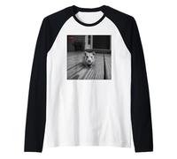 Funny Hamster Sticks out Tongue On Security Camera Camiseta Manga Raglan