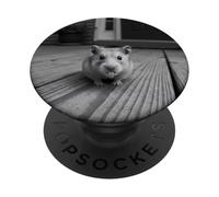 Funny Hamster Sticks out Tongue On Security Camera PopSockets PopGrip Adhesivo