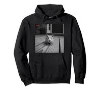 Funny Hamster Sticks out Tongue On Security Camera Sudadera con Capucha