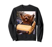 Funny Highland Cow Roller Coaster Meme Silly Graphic Sudadera