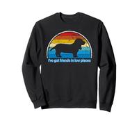 Funny I've Got Friends in Low Places for Basset Hound Lovers Sudadera