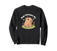 Funny Kids Kawaii Meme Chill Rage Consumes Me Capybara Vibes Sudadera