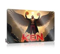 Funny Man Cave Signs Ken: The Winged Warrior With Fiery Spheres, letrero de estaño para puerta de habitación (20 x 30 cm)