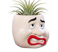 Funny Planter Cute Colorful Decorative Container with Nose Drainage Holes