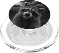 Funny Raccoon Sticks out Tongue On Security Camera PopSockets PopGrip para MagSafe
