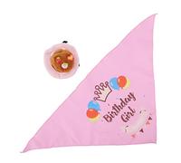 Funny Squeaky Dog Bandana & Hat Set | Birthday Party Supplies for Dogs/Puppies | Soft Fabric with Cake Print & Embroidered Text | Includes Scarf & Tapered Hat (Pink)