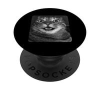 Funny Surprised Cat Meme Hilarious Shocked Tabby Kitty PopSockets PopGrip Adhesivo