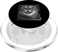 Funny Surprised Cat Meme Hilarious Shocked Tabby Kitty PopSockets PopGrip para MagSafe