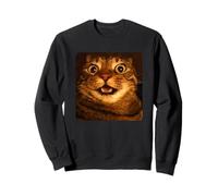 Funny Surprised Cat Meme Hilarious Shocked Tabby Kitty Sudadera
