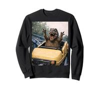 Funny T-Rex Roller Coaster Meme Silly Graphic Dino Sudadera