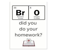 Funny Teacher Poster Bro Did You Do Your Homework Science Classroom Gen Z Humor Decor Back to School Gift(Framed,12x18inch(30x45cm))