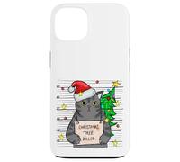 Funny True Crime Christmas Cat Dad Grumpy Serial Killer Cat Carcasa para iPhone 13