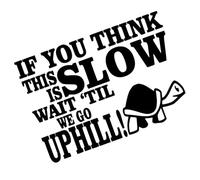Funny Turtle Pegatinas de coche Calcomanía vehículo humorística Si usted piensa que esto es lento 17x12cm