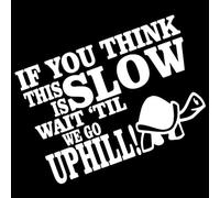 Funny Turtle Pegatinas de coche Calcomanía vehículo humorística Si usted piensa que esto es lento 17x12cm