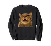 Funny Weird Cat Face Meme Lazy Hilarious Sleepy Tabby Cat Sudadera