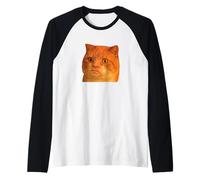 Funny Weird Cat Face Meme Silly Hilarious Cat Confused Camiseta Manga Raglan