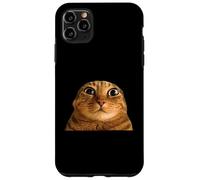 Funny Weird Cat Face Meme Silly Hilarious Cat Confused Carcasa para iPhone 11 Pro MAX