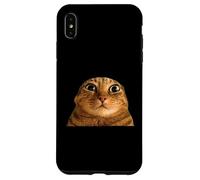 Funny Weird Cat Face Meme Silly Hilarious Cat Confused Carcasa para iPhone XS MAX