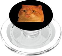 Funny Weird Cat Face Meme Silly Hilarious Cat Confused PopSockets PopGrip para MagSafe