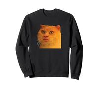 Funny Weird Cat Face Meme Silly Hilarious Cat Confused Sudadera