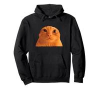 Funny Weird Cat Face Meme Silly Hilarious Cat Confused Sudadera con Capucha