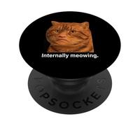 Funny Weird Cat Face Meme Silly Hilarious Mad Cat Confused PopSockets PopGrip Adhesivo