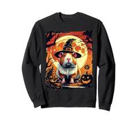 Funny Witch Guinea Pig Pumpkins Halloween Ghost Spooky Lover Sudadera
