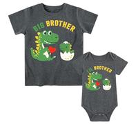 Funnycokid Conjunto de camisas a juego para hermano mayor, hermano pequeño, ropa de regalo para bebé, Dinosaurio verde, Kid(5T)/Baby(0-3 M)