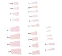 FUNOMOCYA Modelo de enseñanza con 24 dientes permanentes extraíbles, con tornillos para práctica y entrenamiento odontológico, modelo duradero para formación profesional