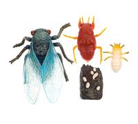FUNOMOCYA Modelo Educativo del Ciclo de Vida Cigarra, Juguete Cognitivo de Simulación Artesanal, Modelo Compacto de Exhibición Resistente para Aprendizaje y Decoración