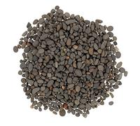 FUNOMOCYA Piedras Decorativas Miniatura para 60g Material de Roca Natural para Dioramas Decoración de Peceras y Jardinería Accesorios para y de Ferrocarriles