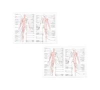 FUNOMOCYA Póster de Disección del Cuerpo de 2 Unidades Figura Muscular y Diagrama del Músculo Esquelético, Material de Tela, Fácil de Leer para Aula y Laboratorio
