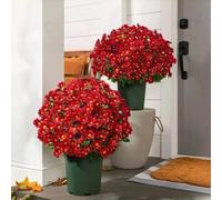 Funsdecor - Mamás artificiales de puesta de sol, flores artificiales para exteriores, madres artificiales realistas para exteriores, madres artificiales que se ven reales, margaritas falsas de otoño