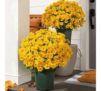 Funsdecor Mums, Artificial Outdoor Sunset Mums Flowers - UV Resistant Waterproof Windproof Faux Fall Daisies, Realistic No Fade Flowers for Porch Garden Patio Decor