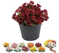 Funsdecor Mums, Funsdecor Artificial Mums, Artificial Outdoor Sunset Mums Flowers - UV Resistant, Waterproof, Windproof, Never Faded, for Garden, Porch, Home Decor (Red-b,20pcs)