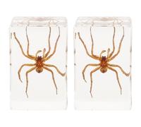 FUOYLOO Sujetalibros de Resina Transparente 2 Arañas Peludas, Decoración Multifunción para Escritorio y Hogar, Especímenes de Insectos en Resina para Uso Educativo y Ornamental