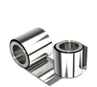 FUPOHUA Tira de Acero Inoxidable 304 con Espesor de 0,01 mm a 0,3 mm, Placa de Acero Fina, Longitud de Placa de Acero Fina de 100 a 1000 mm