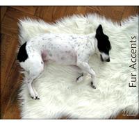 Fur Accents Alfombra de Piel de Oveja/Perro/Mascota/Manta/Pelo shaggyFaux de 30 Pulgadas x 36 Pulgadas