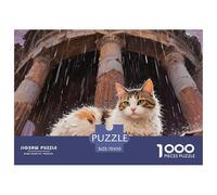 Furgoneta turcaJigsaw Puzzles for Adults 1000 Piece Age 12+ for Adults Educational Game Challenge Toy Beautiful Decoration for Women Gifts for Man70x50cm/1000pcs