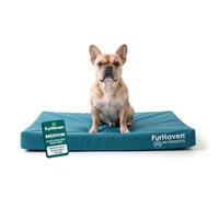 FurHaven Cama para Perros de Gel refrescante Resistente al Agua para Perros medianos/pequeños con Funda extraíble Lavable, para Perros de hasta 35 Libras, colchón de Lona Oxford con Estampado de