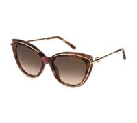 Furla Mujer Furla SFU889 01GQ Gafas de sol Acetato la Habana Marrón Mariposa Normal Sombreado