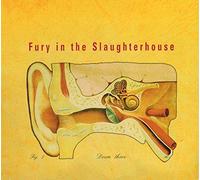 Fury in the Slaughterhouse - Down There + Unreleased Tracks