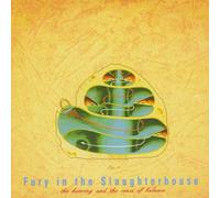 Fury in the Slaughterhouse - Hearing and The Sense of B [Import]