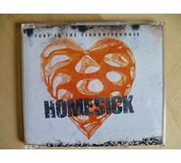 Fury in the Slaughterhouse - Homesick