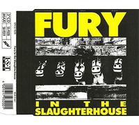 Fury in the Slaughterhouse - Kick It Out [Import]