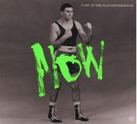 Fury In The Slaughterhouse Now (Ltd.Edition) (CD) (Importación USA)