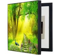 Fuse Box Cover, Electric Meter Box Decorative Painting Hide Paintings Wall Decoration Power Box Cover Switch Box Canvas Poster Paintings(Size:35x45cm,Color:I)(B,40x50cm)